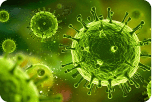 Representação microscópica e detalhada de múltiplos vírus esféricos de cor verde com espículas, ilustrando a causa de uma virose.